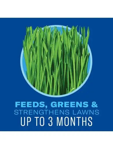 BioAdvanced 5 In 1 Weed and Feed, Granules
