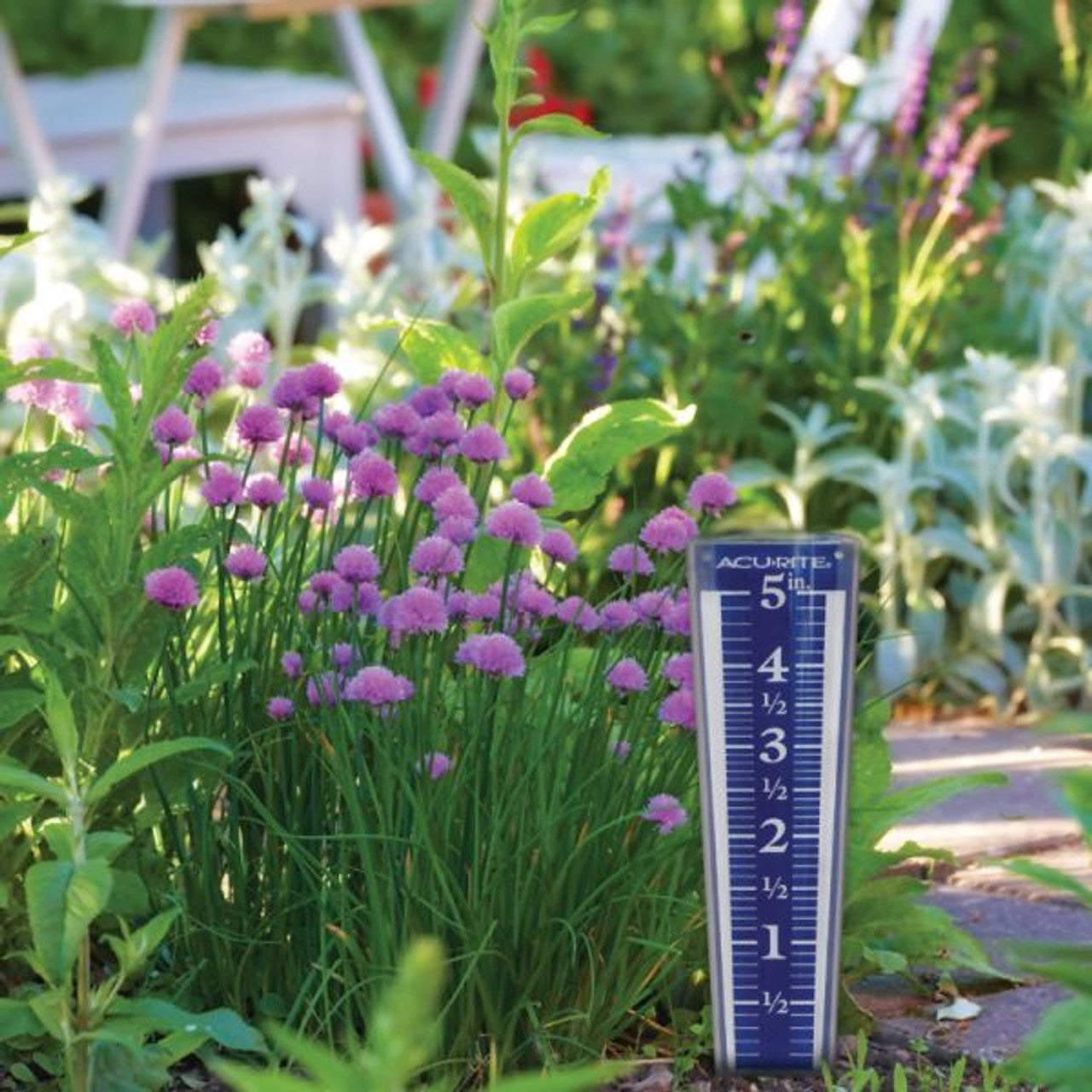 EZREAD Magnifying Rain Gauge