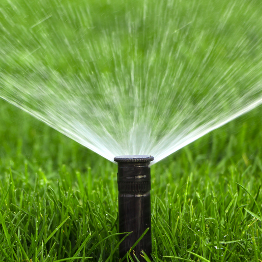 The Importance of Sprinklers