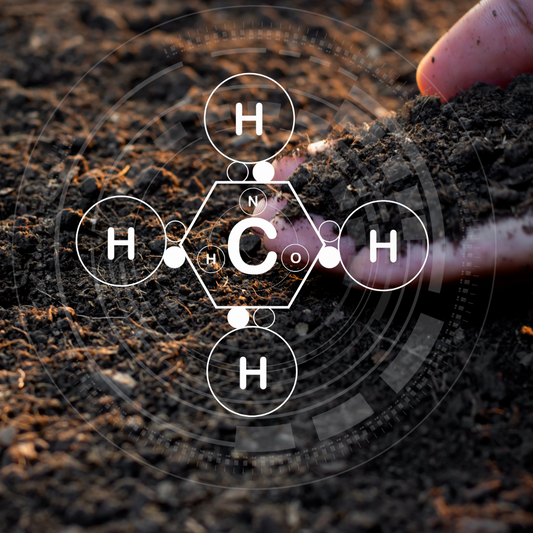 Soil Testing and Why it's so Important