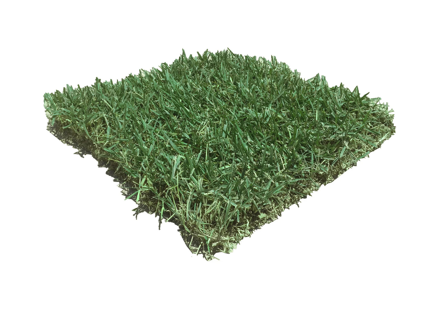 ZOYSIA PLUG SLAB (MAKES UP TO 144 1.5" PLUGS)